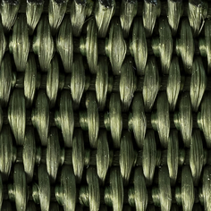 Olive webbing