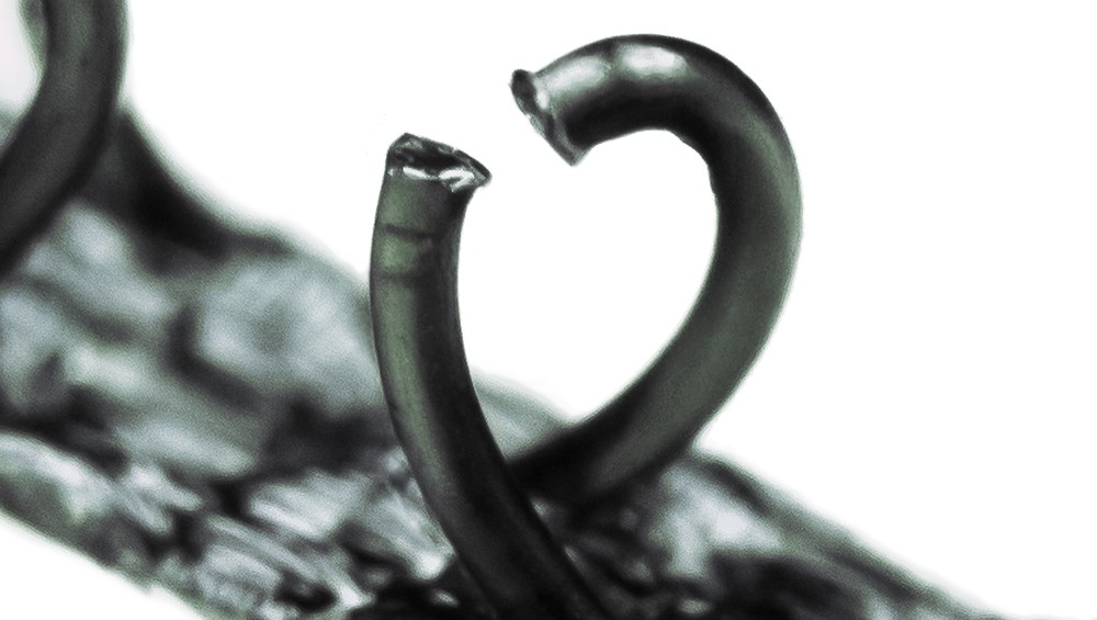 cropped-roll-hook-88-macro1.jpg