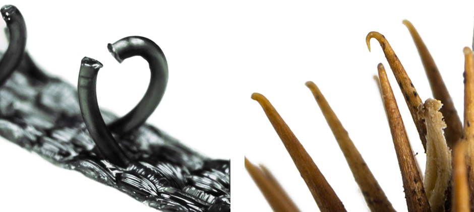Velcro-Burr-Comparison.png