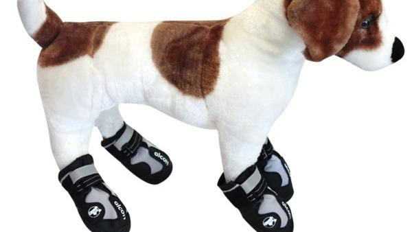 la-trb-gear-dog-boots-protect-your-poochs-fab-001.jpg